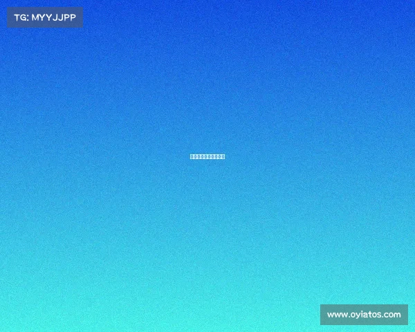 世界围棋冠军奖金最高