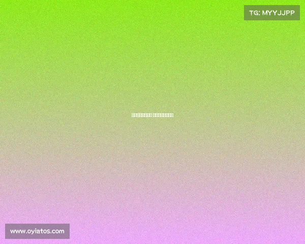 举办武术赛事审批 武术赛事组织方案